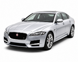 XF